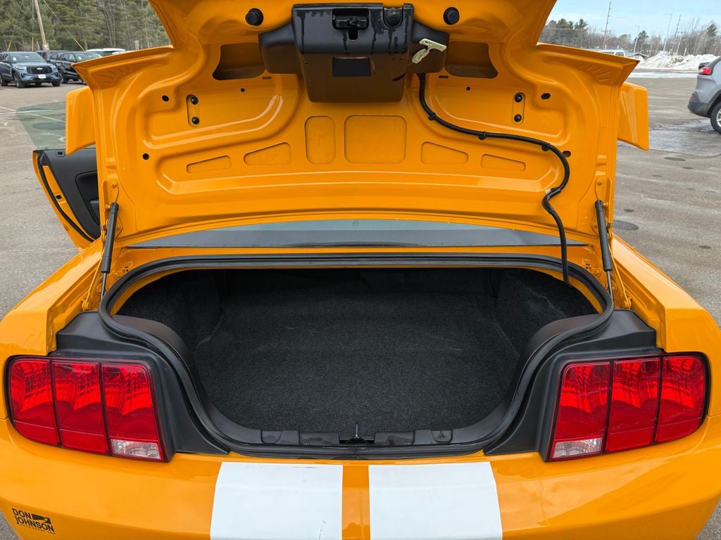 2007 Ford Mustang GT Deluxe