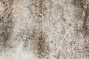 What Simoniz GlassCoat Covers